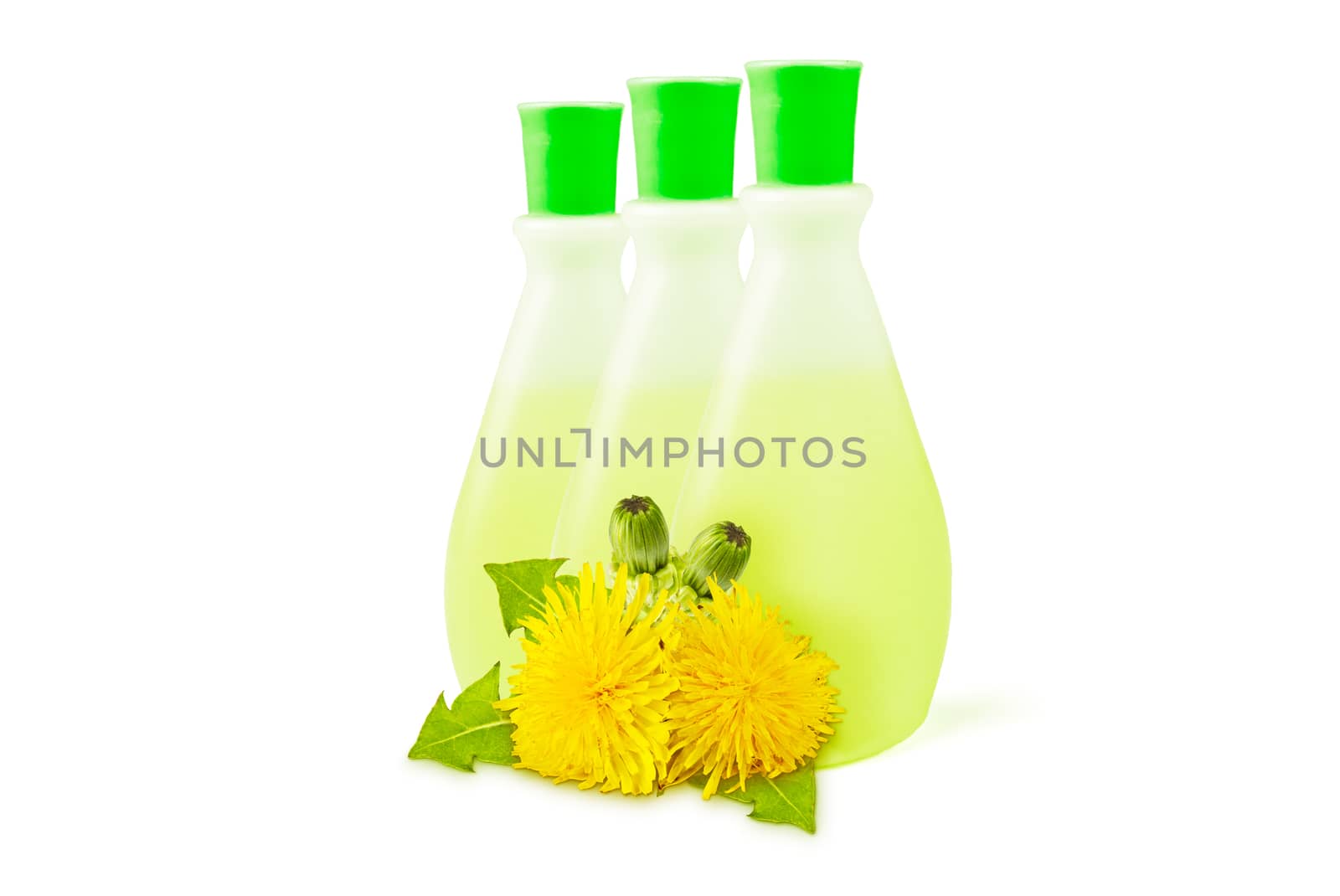  three translucent vial, yellow dandelions with green leaves and buds on a white background