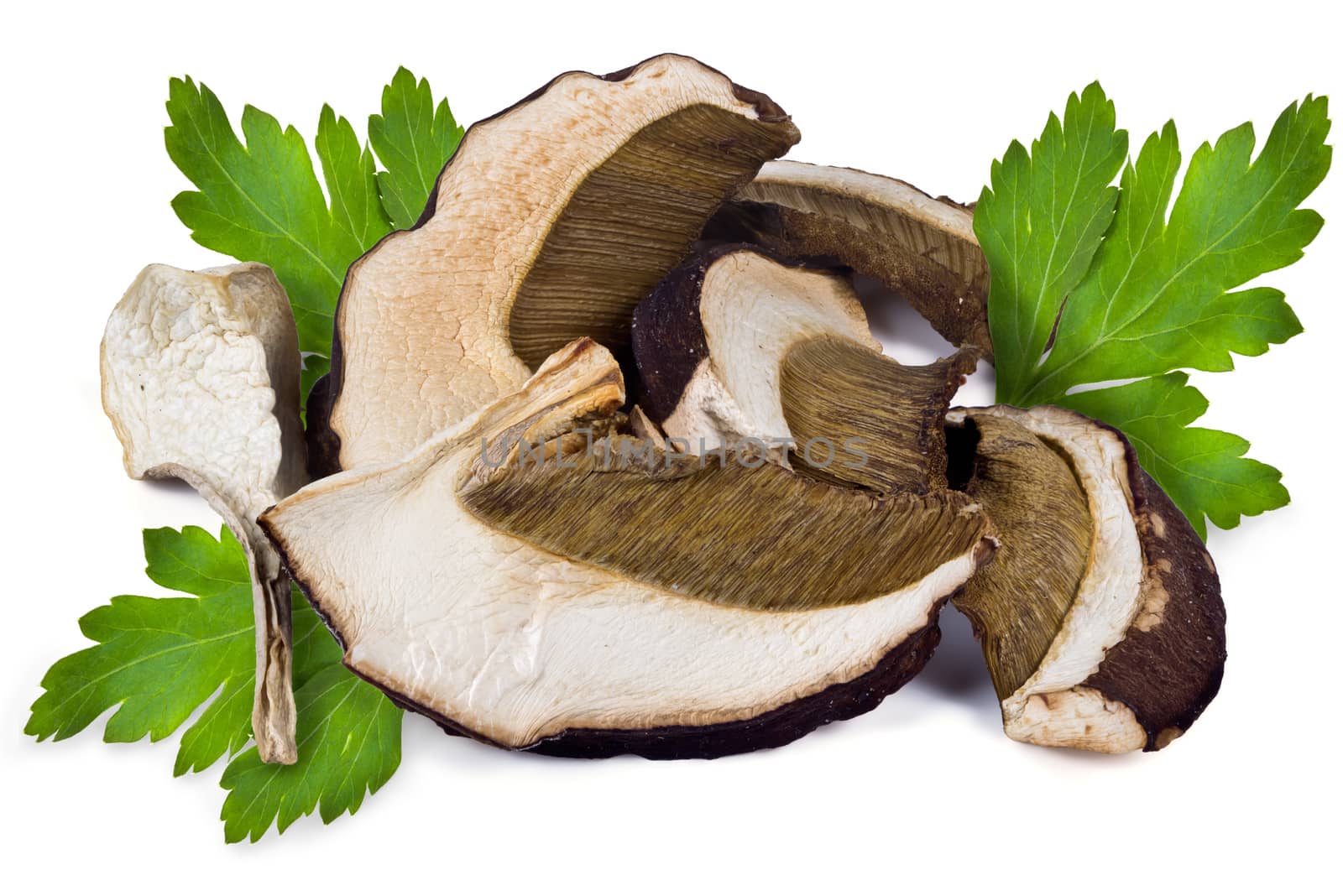 Dried slices of porcini mushrooms on a white background