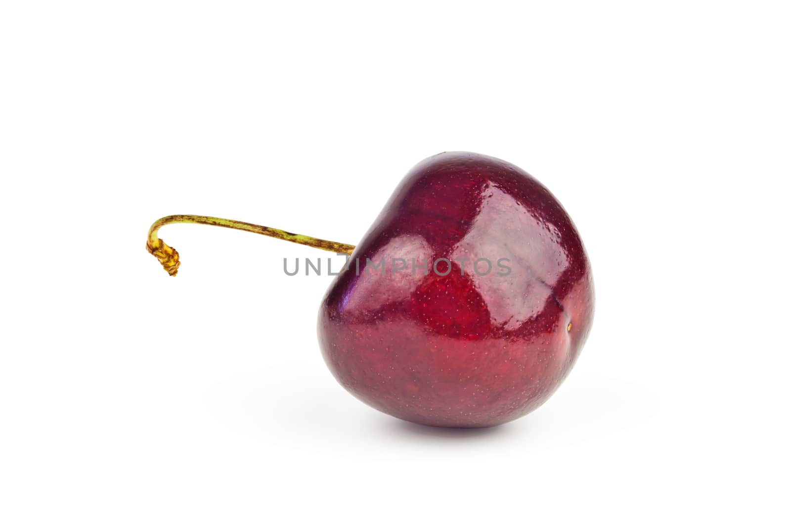 one ripe, juicy, delicious sweet cherry on white background