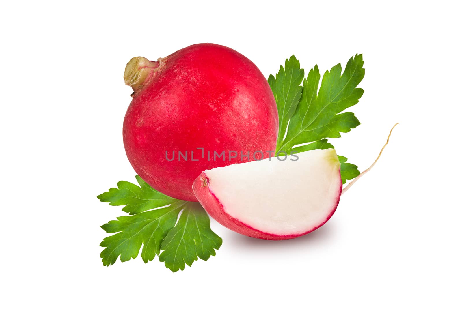 radishes whole, slice and parsley leaf on white background