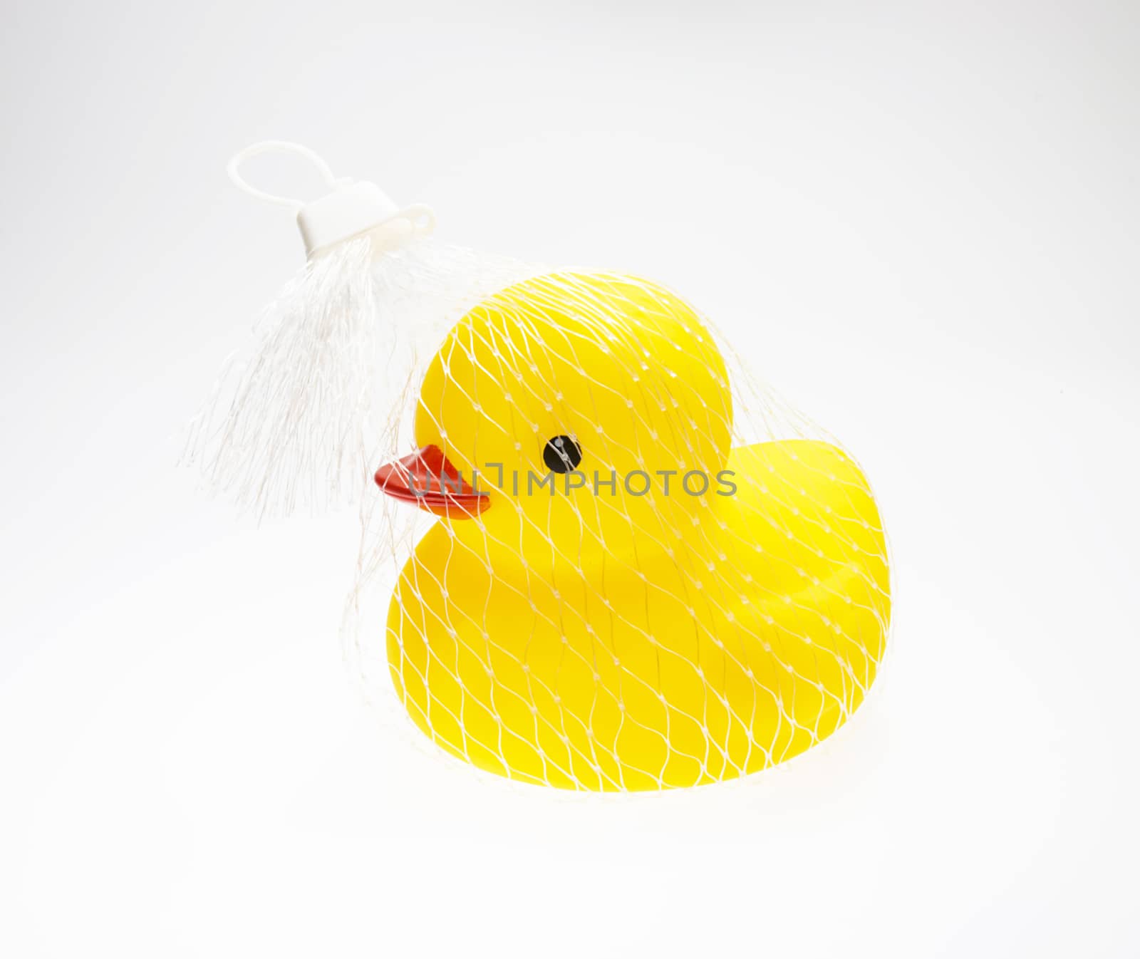 The yellow duck isolate on white background 