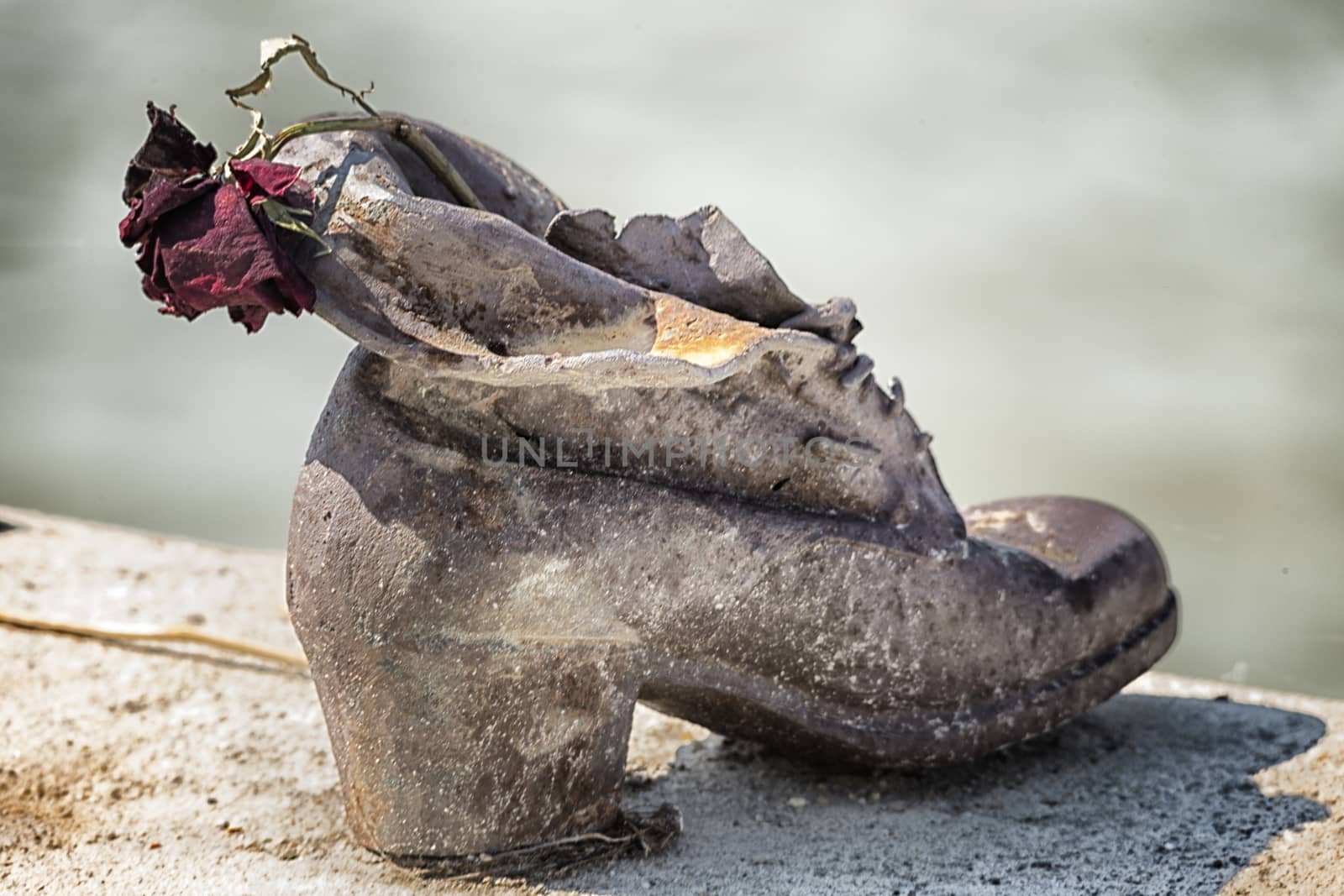 Rose on shoes on the Danube Bank in Budapest by paocasa