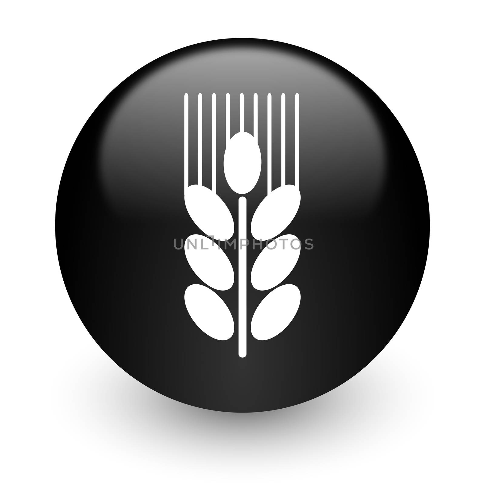 black glossy computer icon