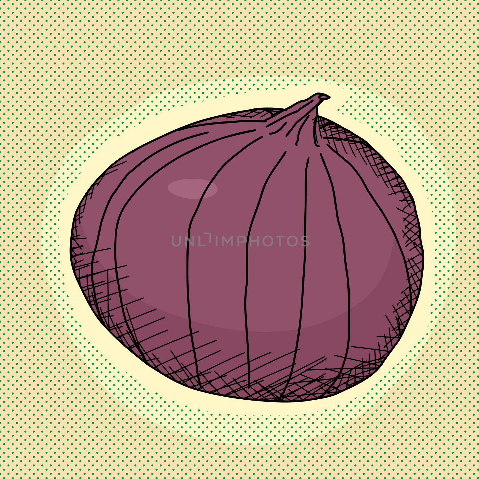 Single red onion bulb on green background