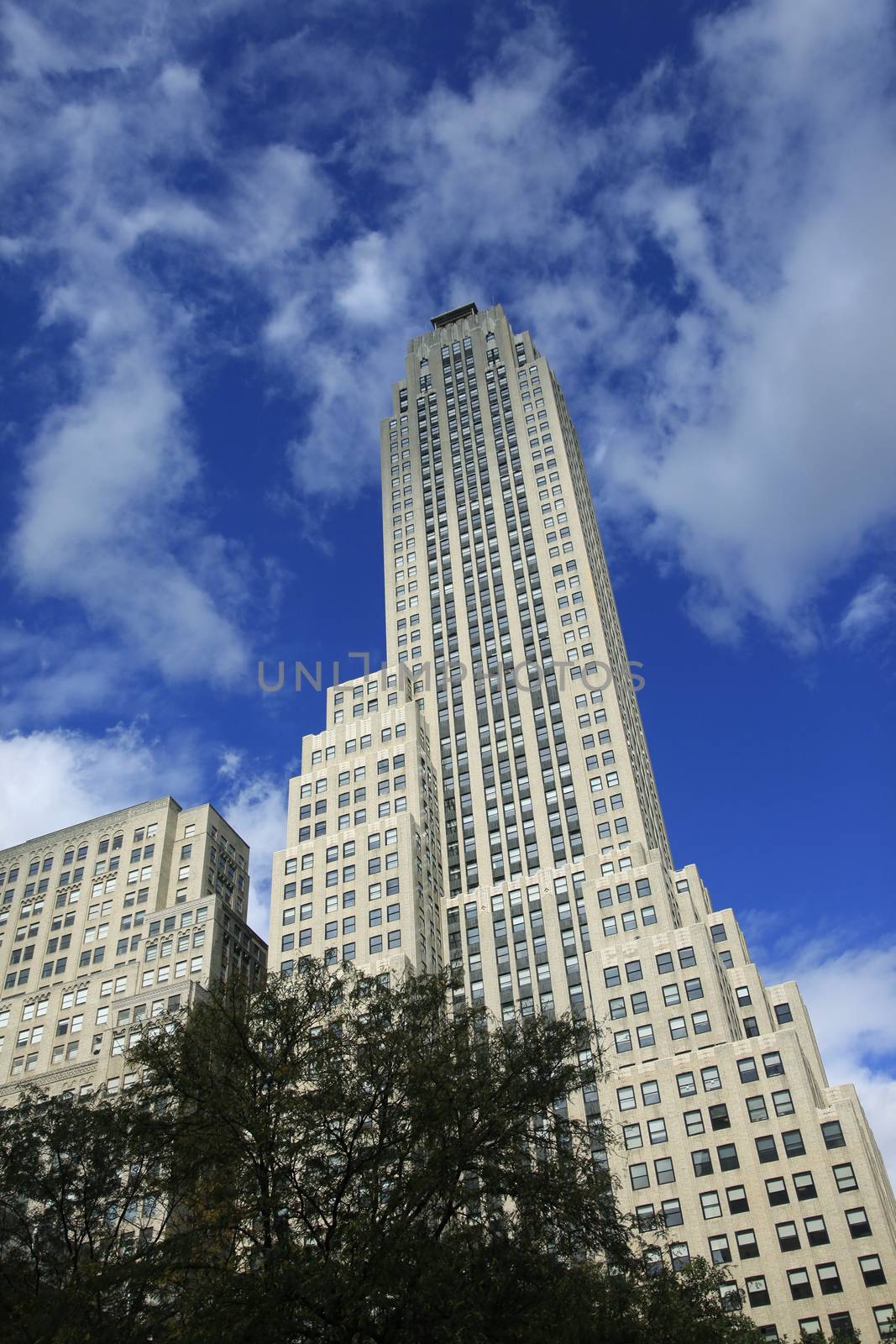 Tallest building on 5th Avenue in New York City