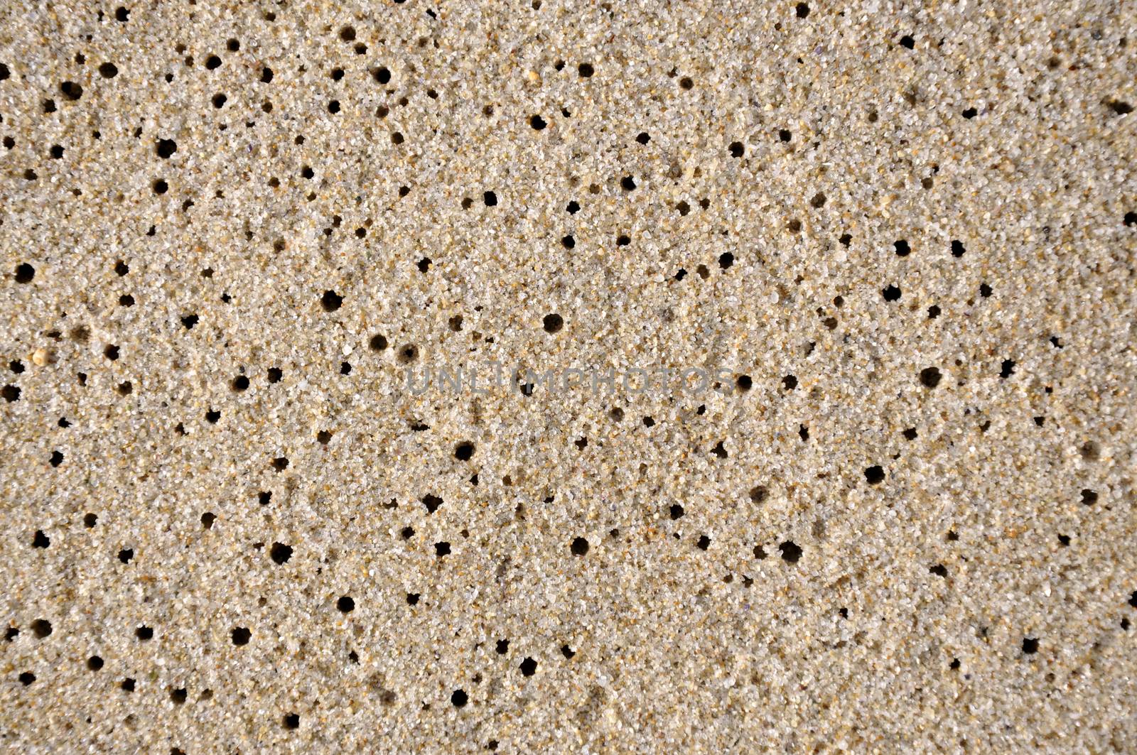 The sand on the beach in Varna when the water has receded 