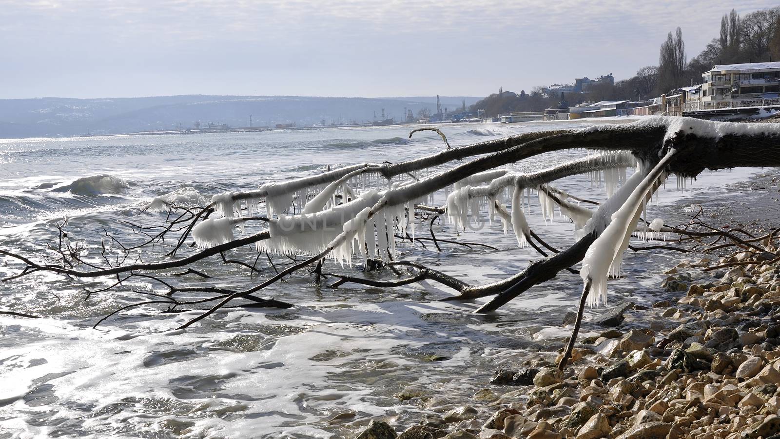 Ice forms a glaze on the beaches of the Black Sea 
