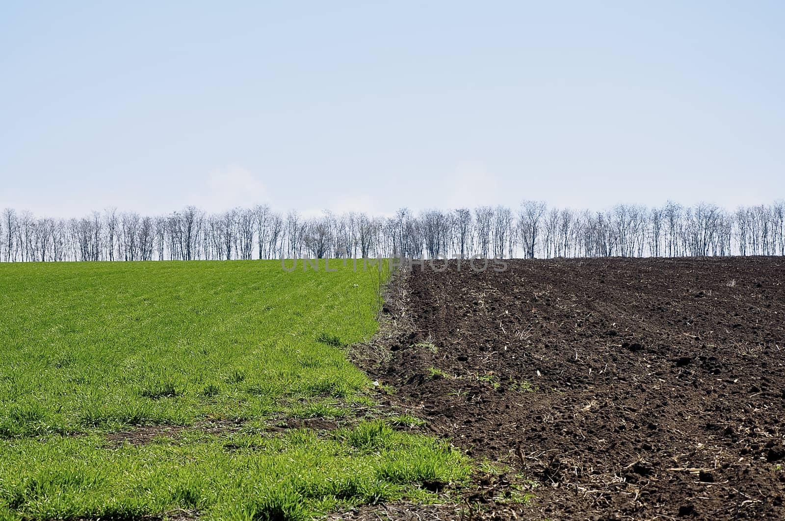 Industrial agriculture on plateau of Kaliakra in Bulgaria