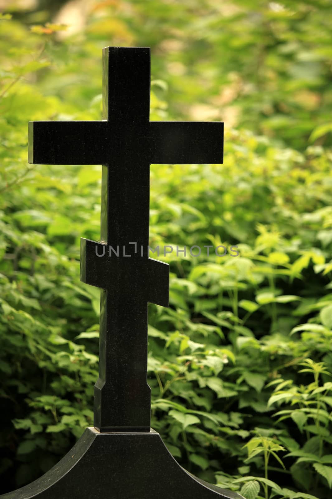 Black grave cross on a background of lush green vegetation