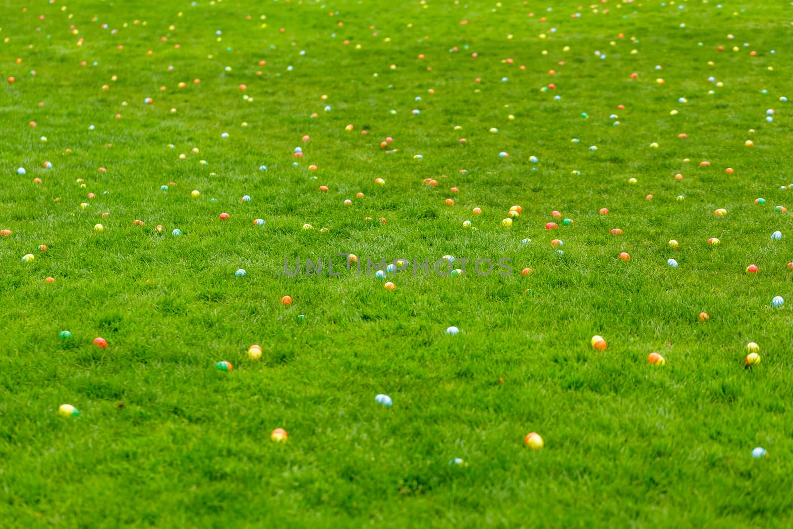 A spring meadow with Easter eggs hidden in the grass