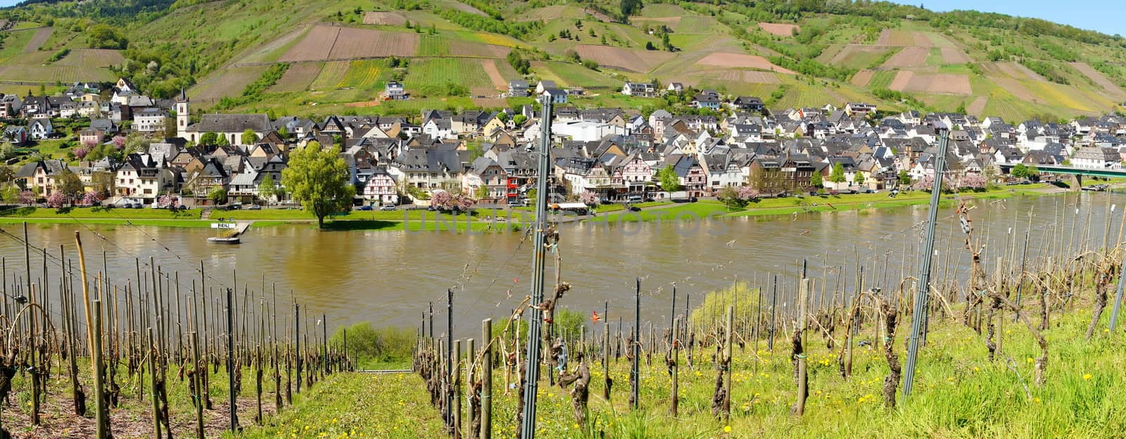 Panorama Reil on the Moselle with a slight flood