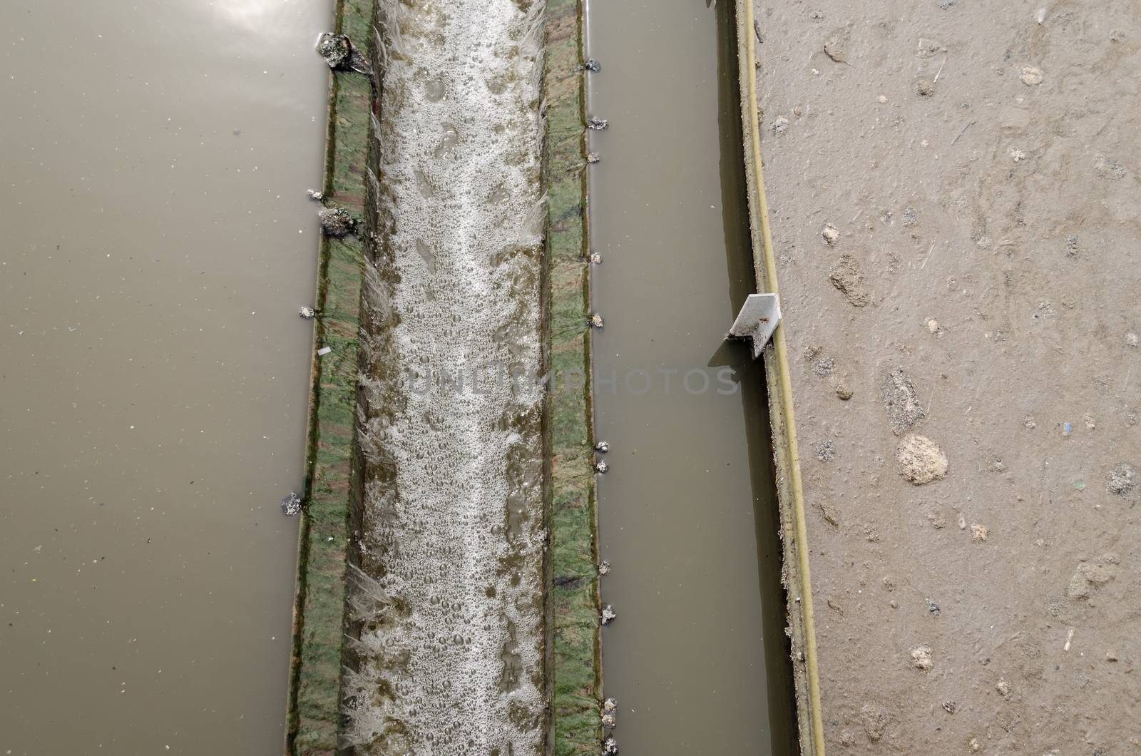 closeup radial settler at wastewater water treat by sauletas