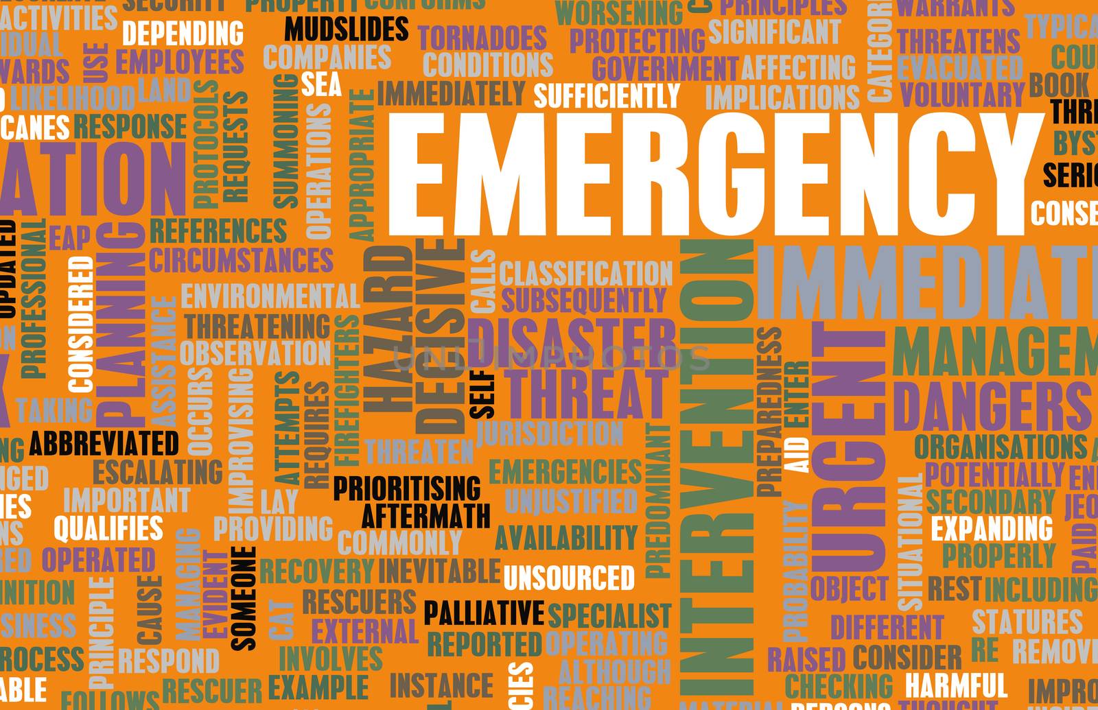 Emergency Planning and Disaster Response as Concept