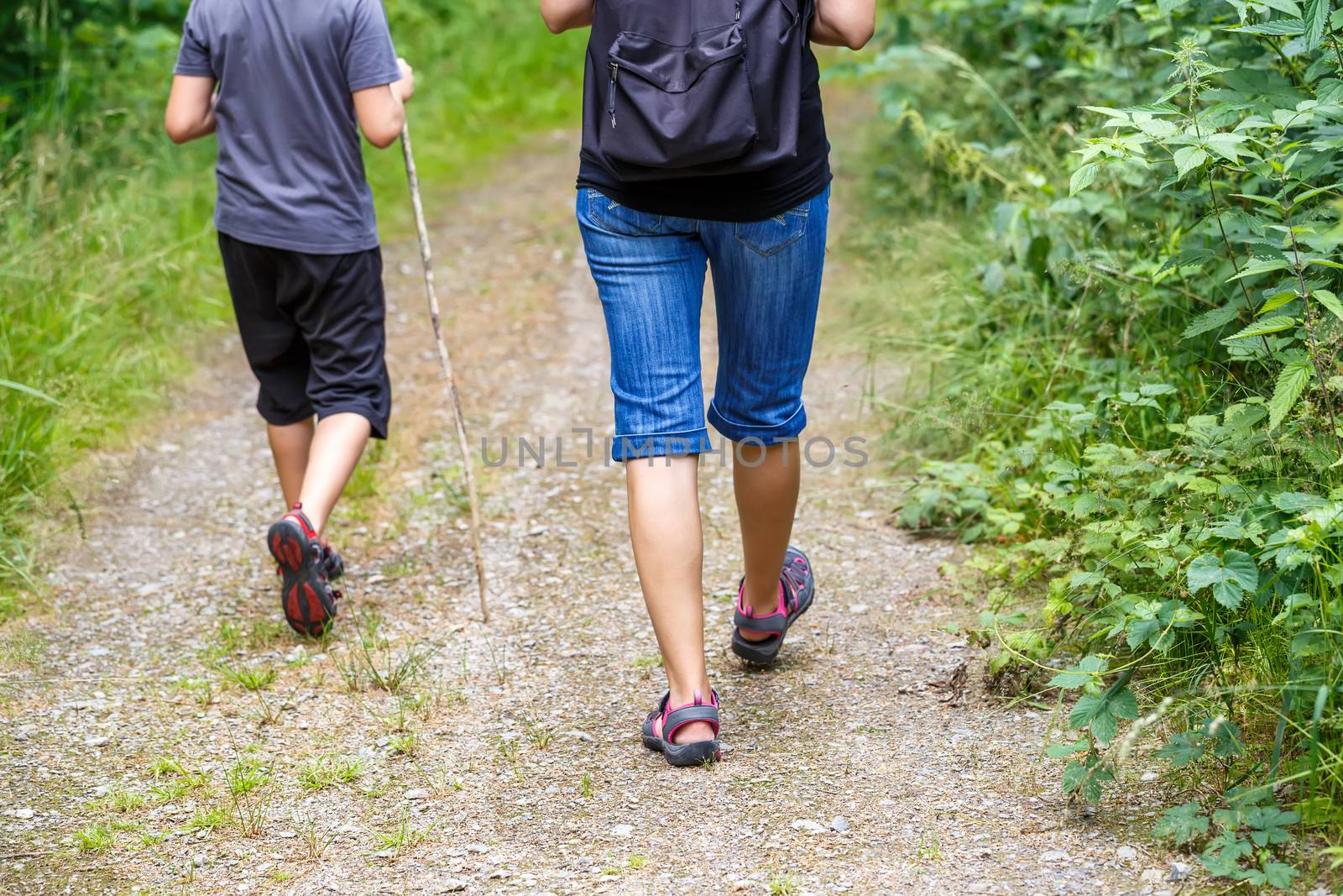 Woman walking with son cross country and trail in summer forest, rear view