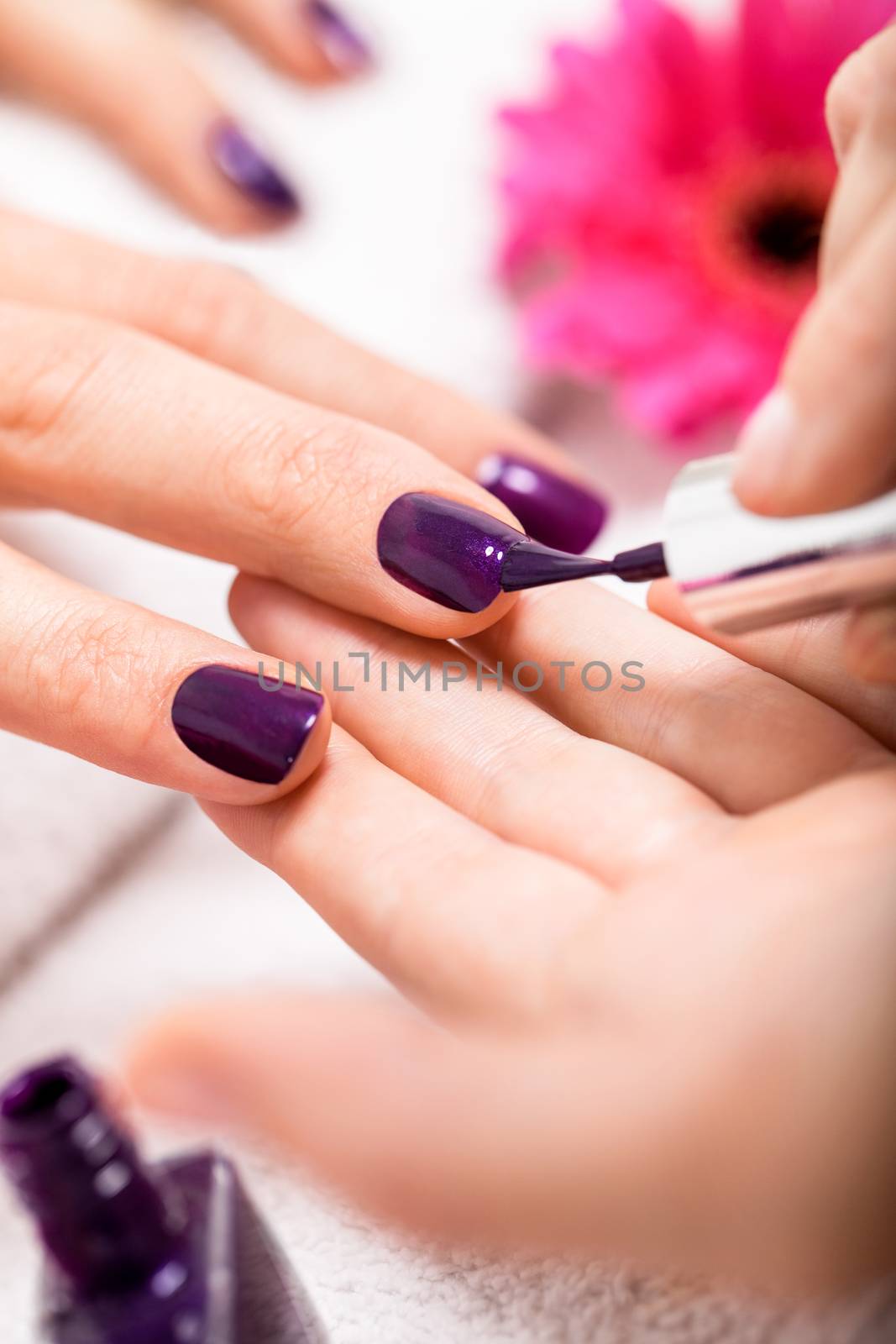 Woman having a nail manicure in a beauty salon with a closeup view of a beautician applying rich purple nail varnish with an applicator