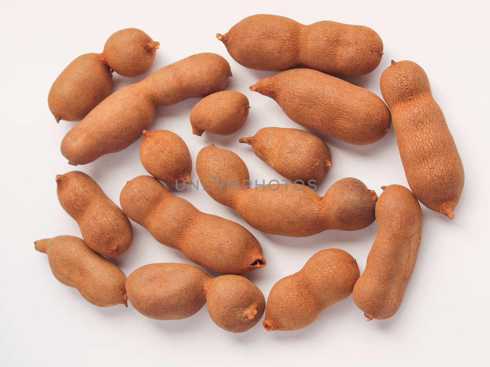 Raw tamarind fruits (tamar hindi - Tamarindus indica)