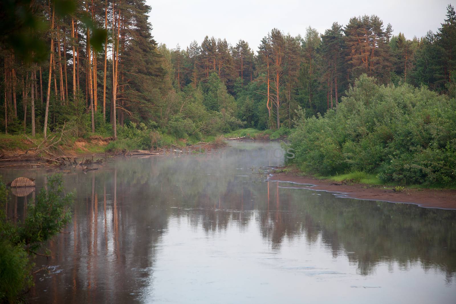 Landscape with river, forest and mist in the evening