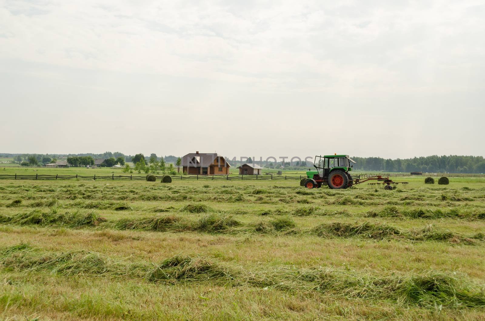 tractor turning raking cut hay in field by sauletas