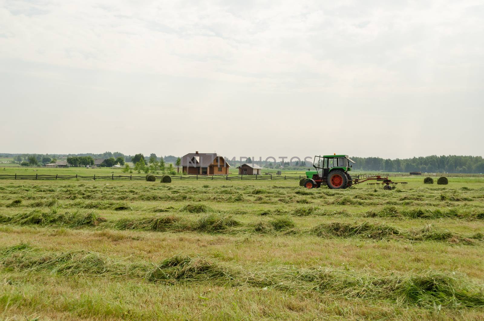 tractor turning raking cut hay with rotary rakes in agriculture field. Seasonal farm works.