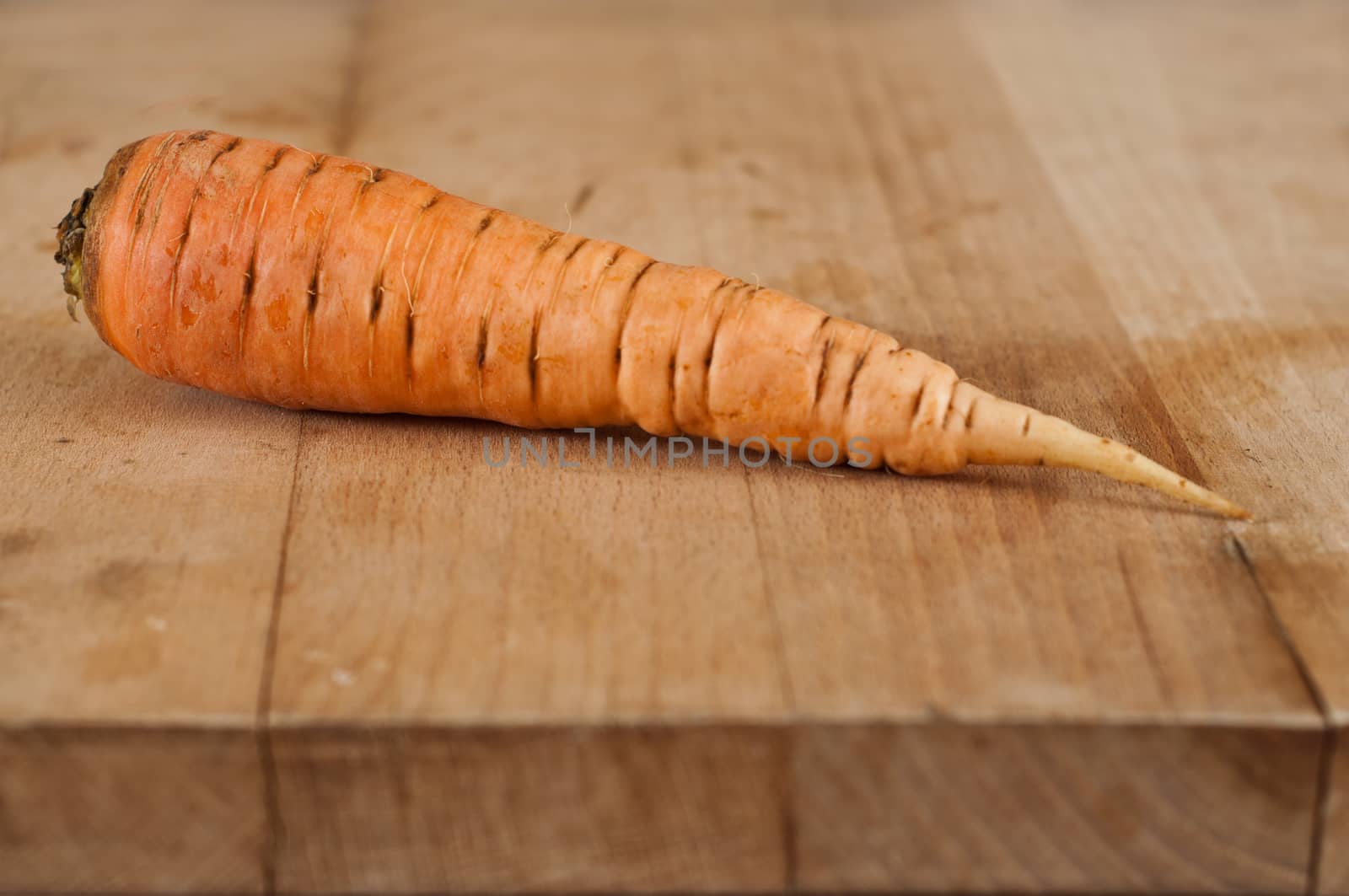 one Carrot on wooden board