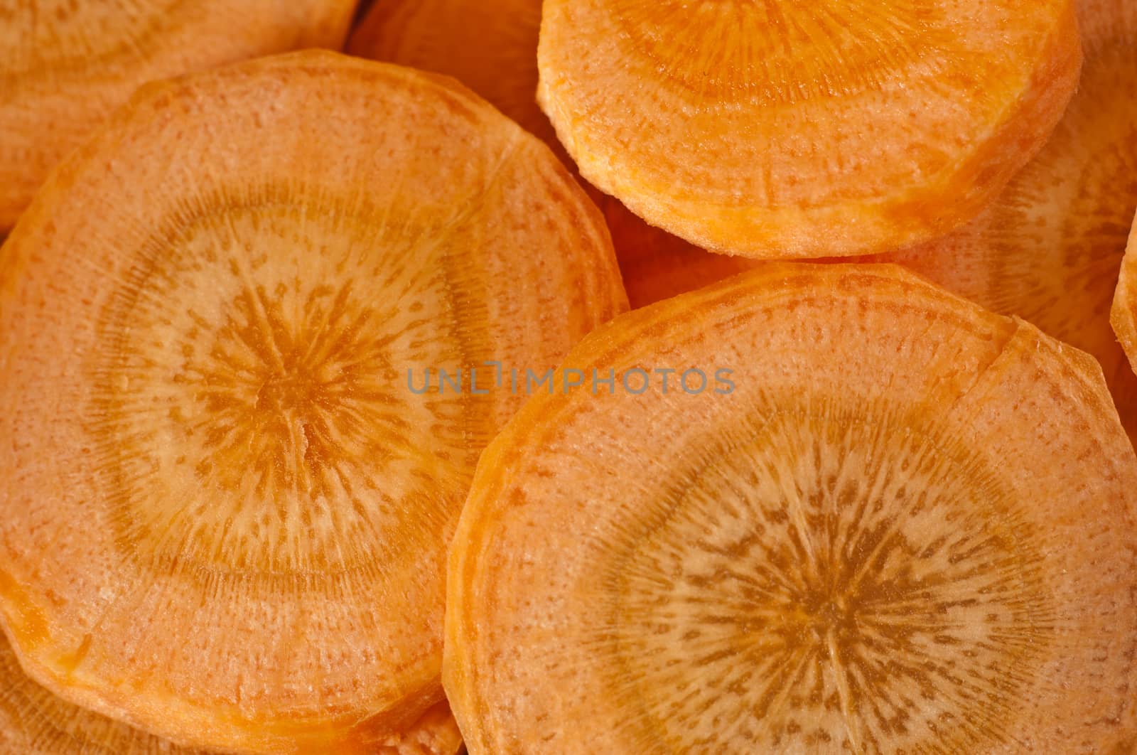 group of Freshs Carrots washers background