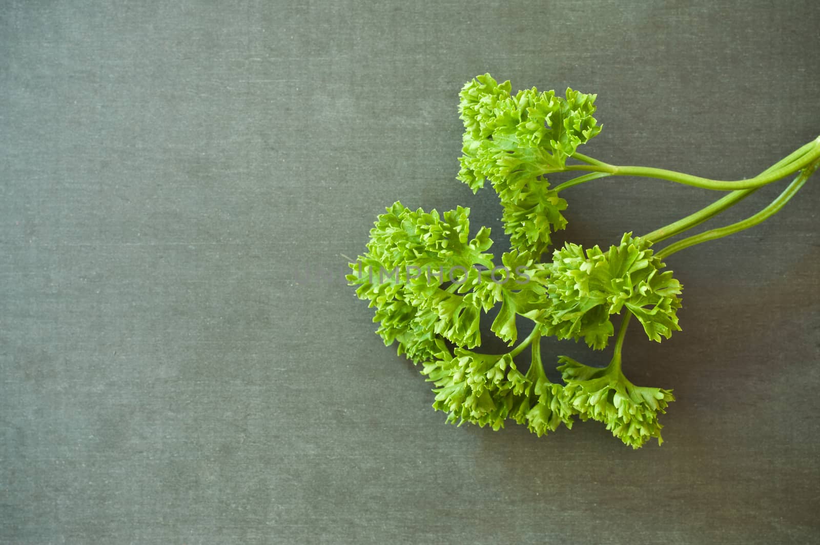 parsley on the chalkboard background