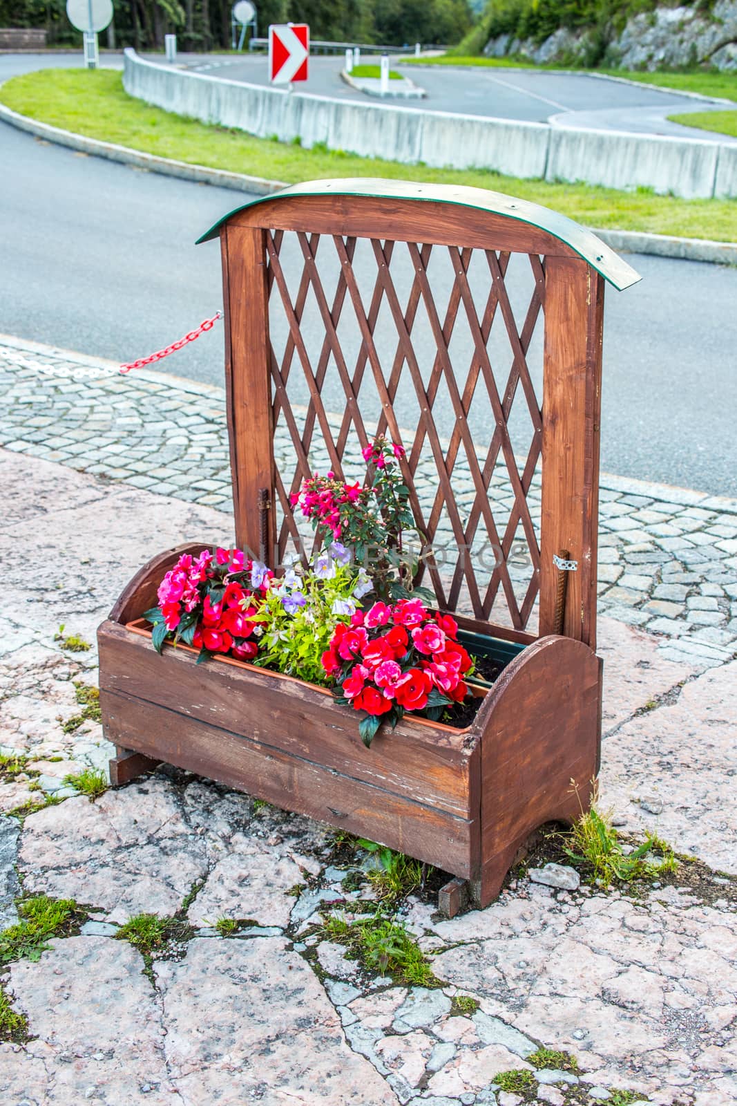 Flowerbed by zych