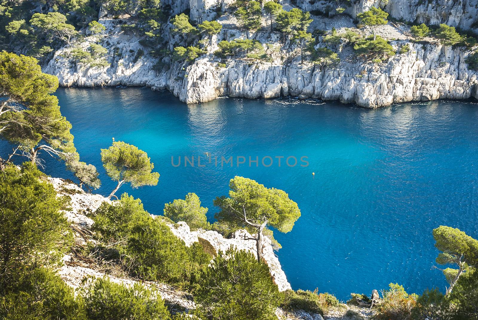 Calanques of Port Pin in Cassis in France near Marseille