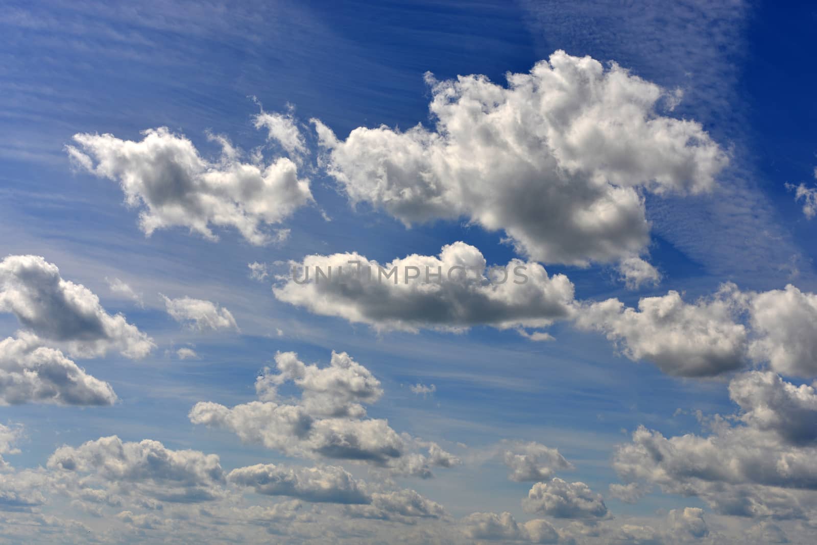 Blue sky and clouds. The bottom view