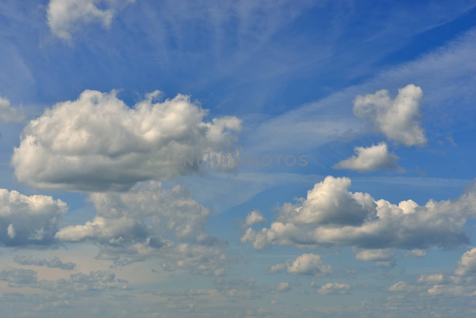 Blue sky and clouds. The bottom view