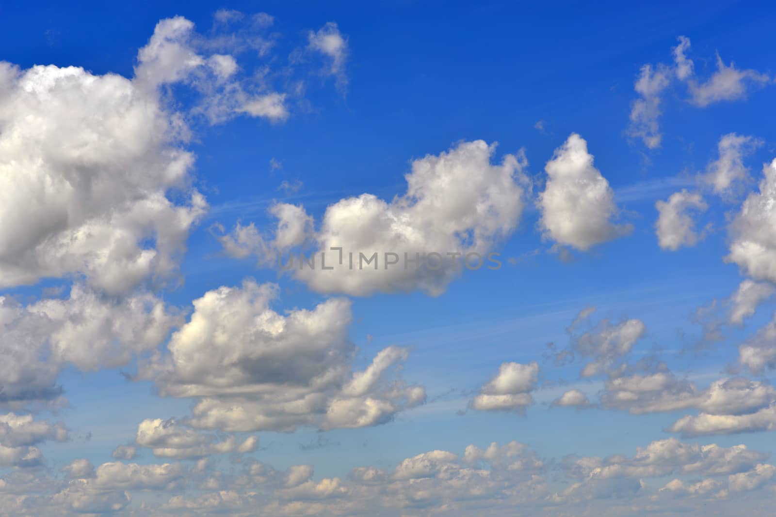 Blue sky and clouds. The bottom view