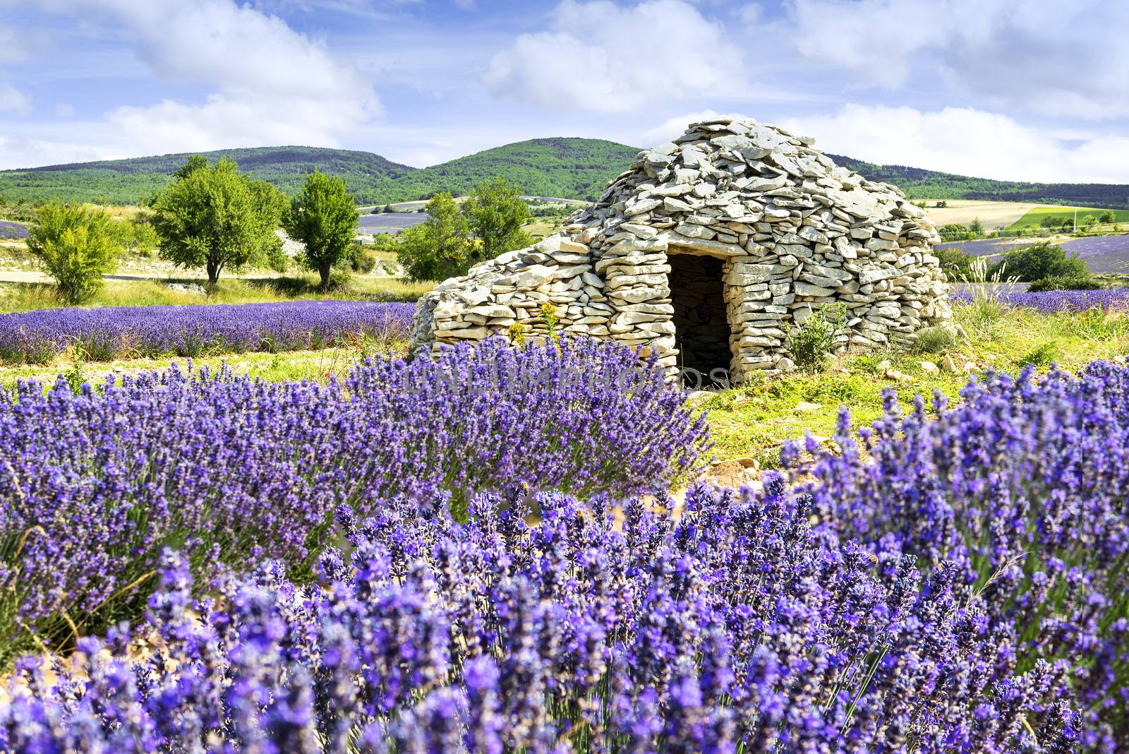 Dmall caban. Summer sunset in Provence, France. 