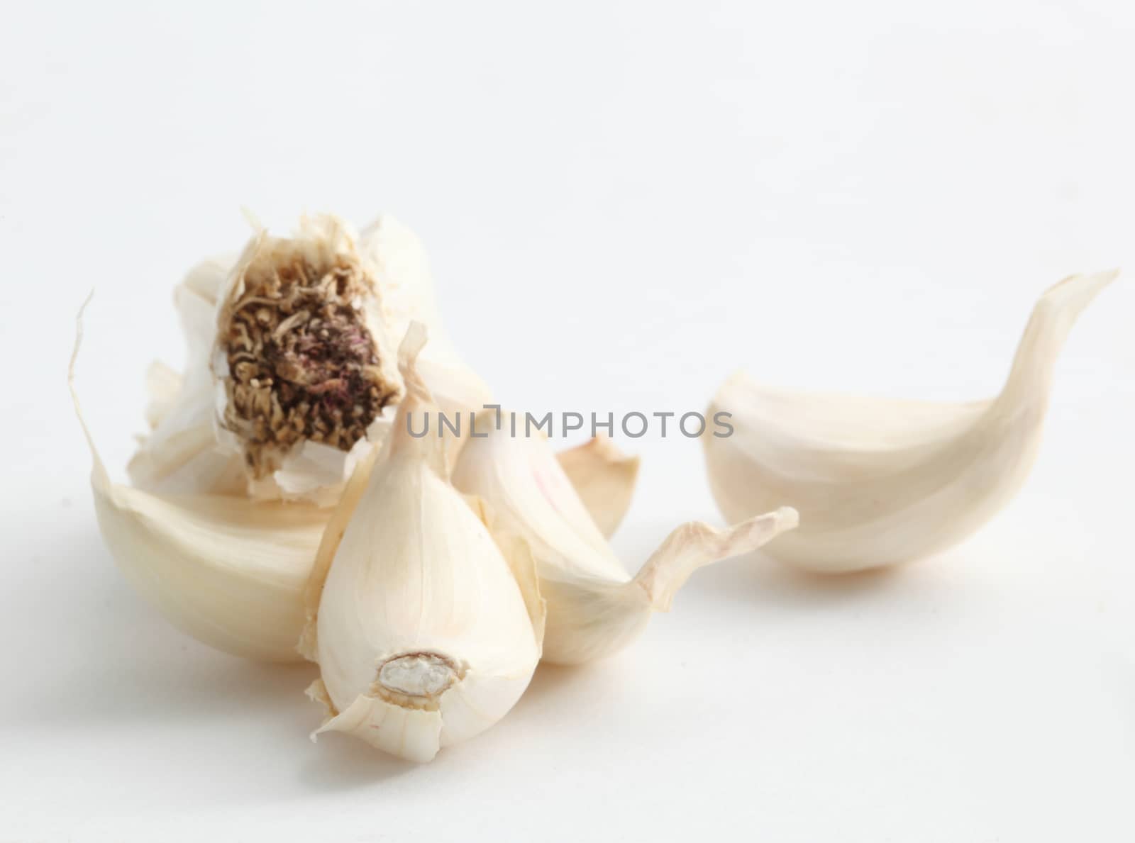 garlic isolated on white background