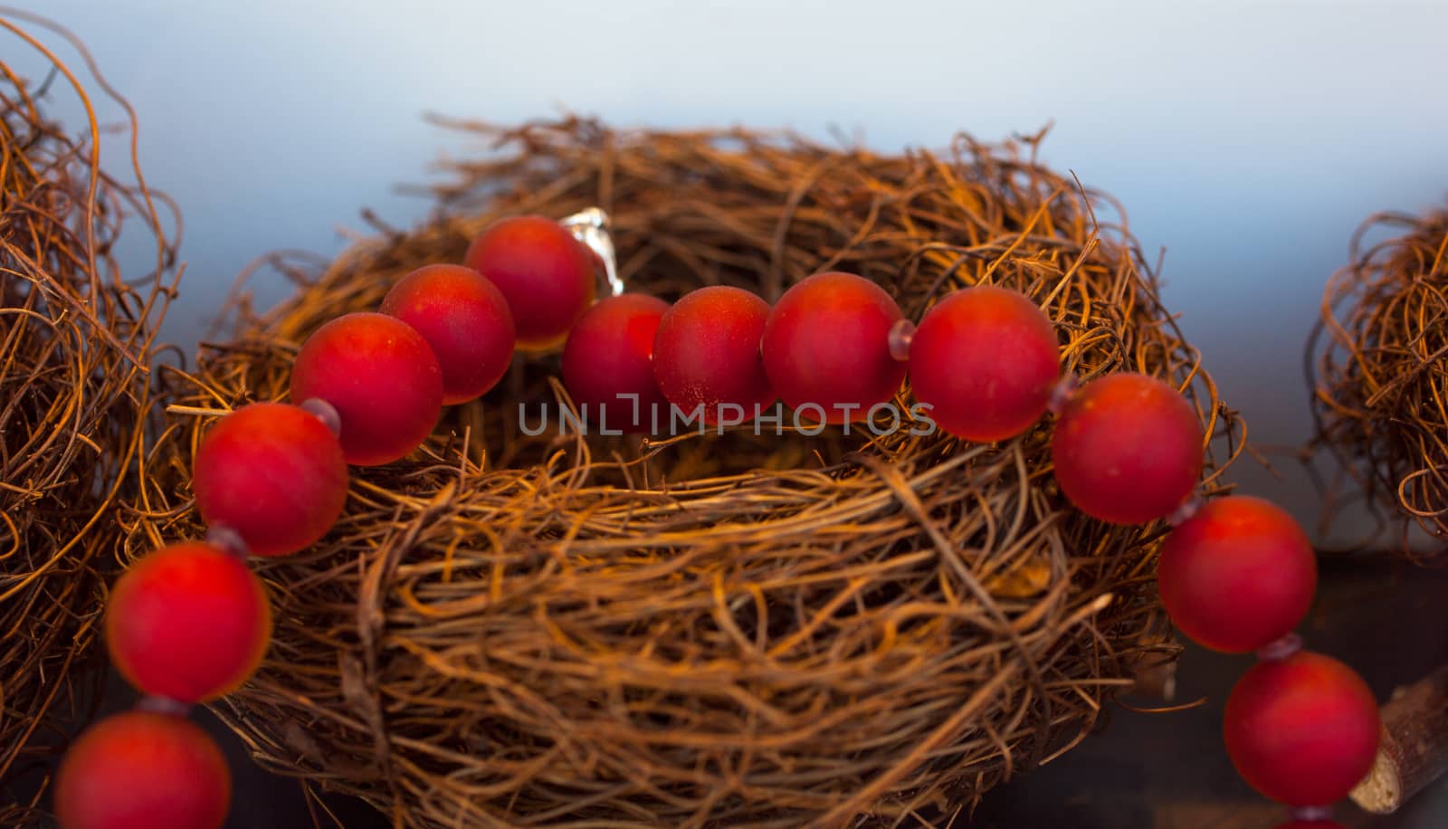 Close up of red pearls necklace on nest