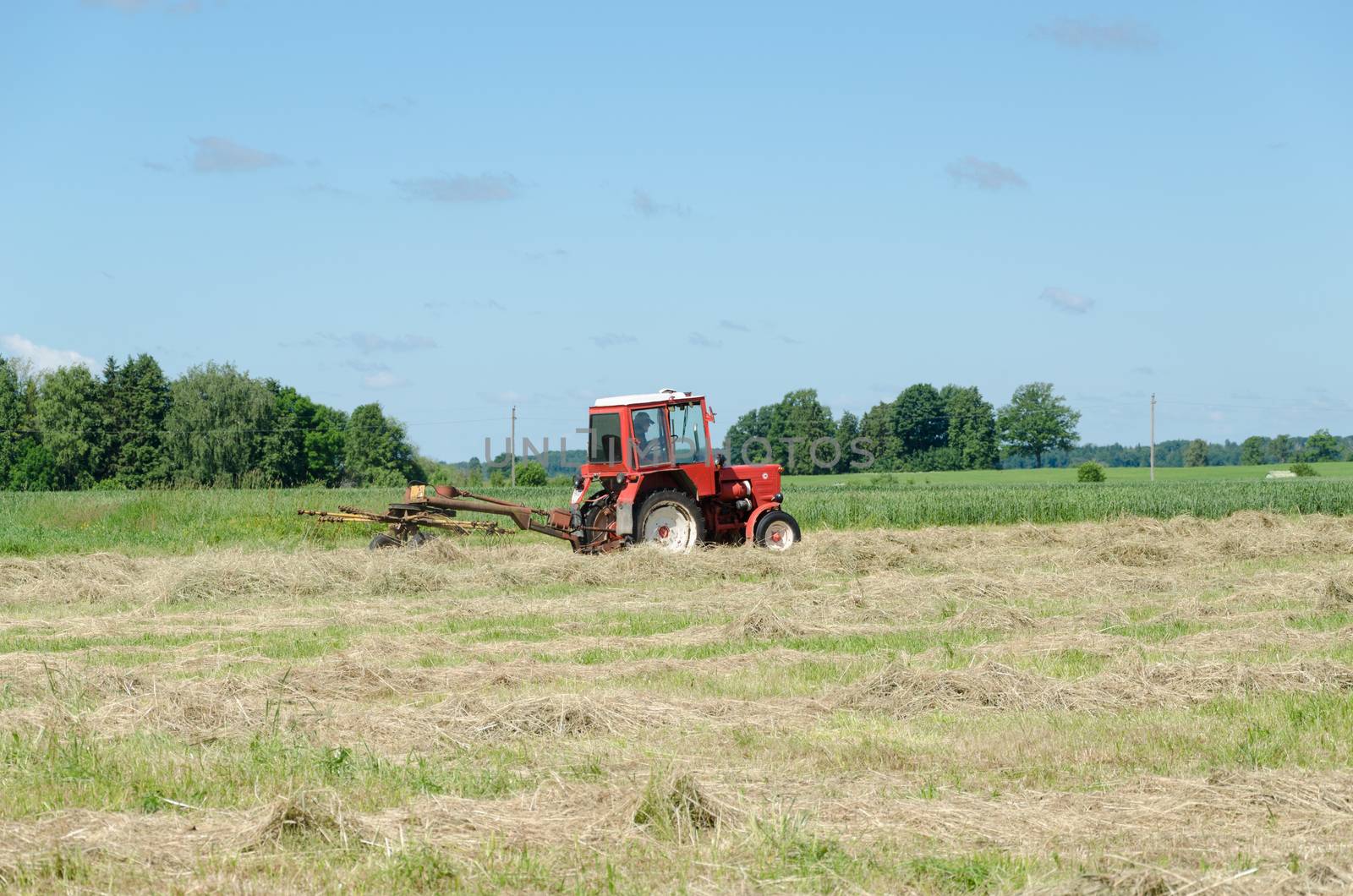 tractor heavy machine equipment ted hay dry grass in agriculture field. Preparing fodder feed for animals.