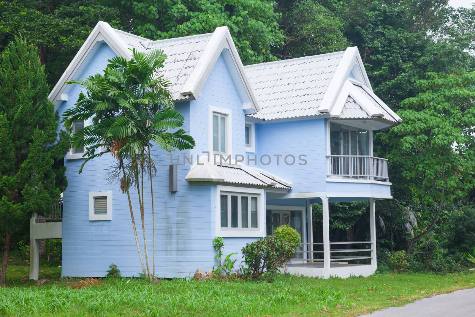 Beautiful blue house and big tree in forest