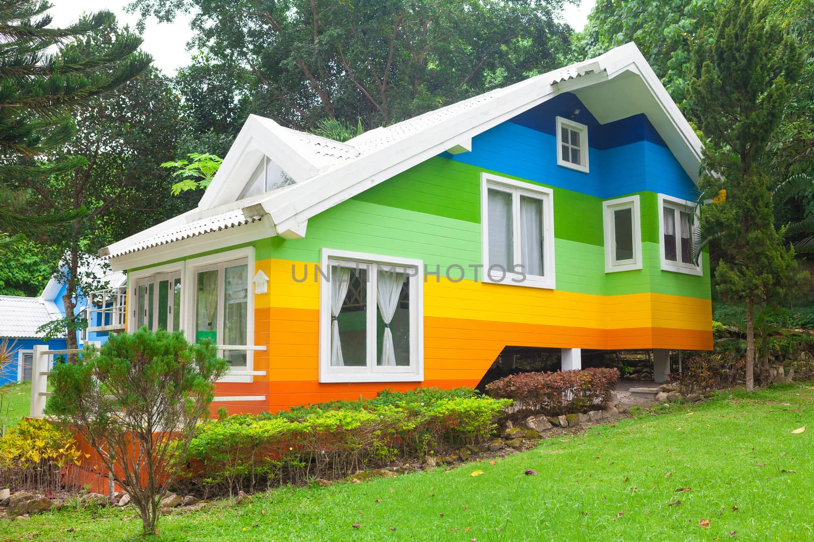 Beautiful colorful house and big tree in forest