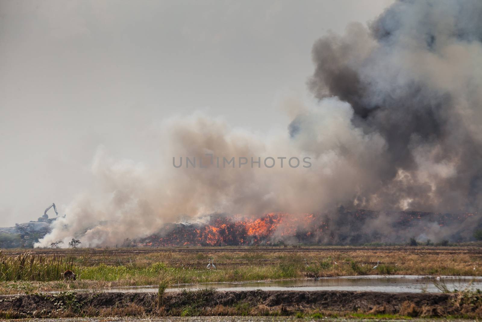 Burning garbage heap of smoke from a burning pile of garbage