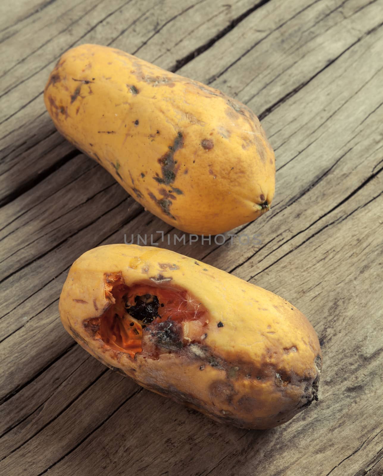 Closeup of moldy papaya fruit on wood background