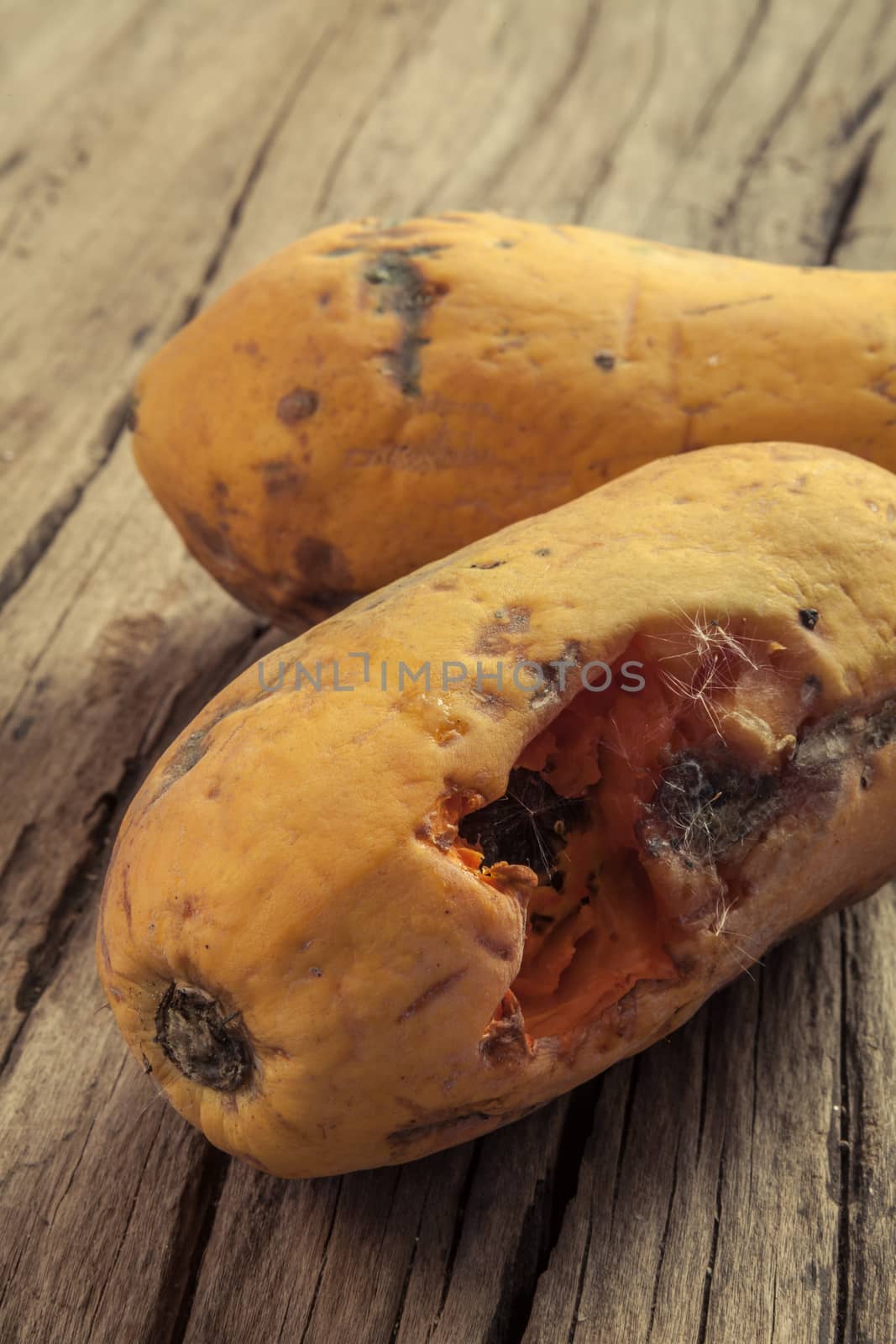 Closeup of moldy papaya fruit on wood background