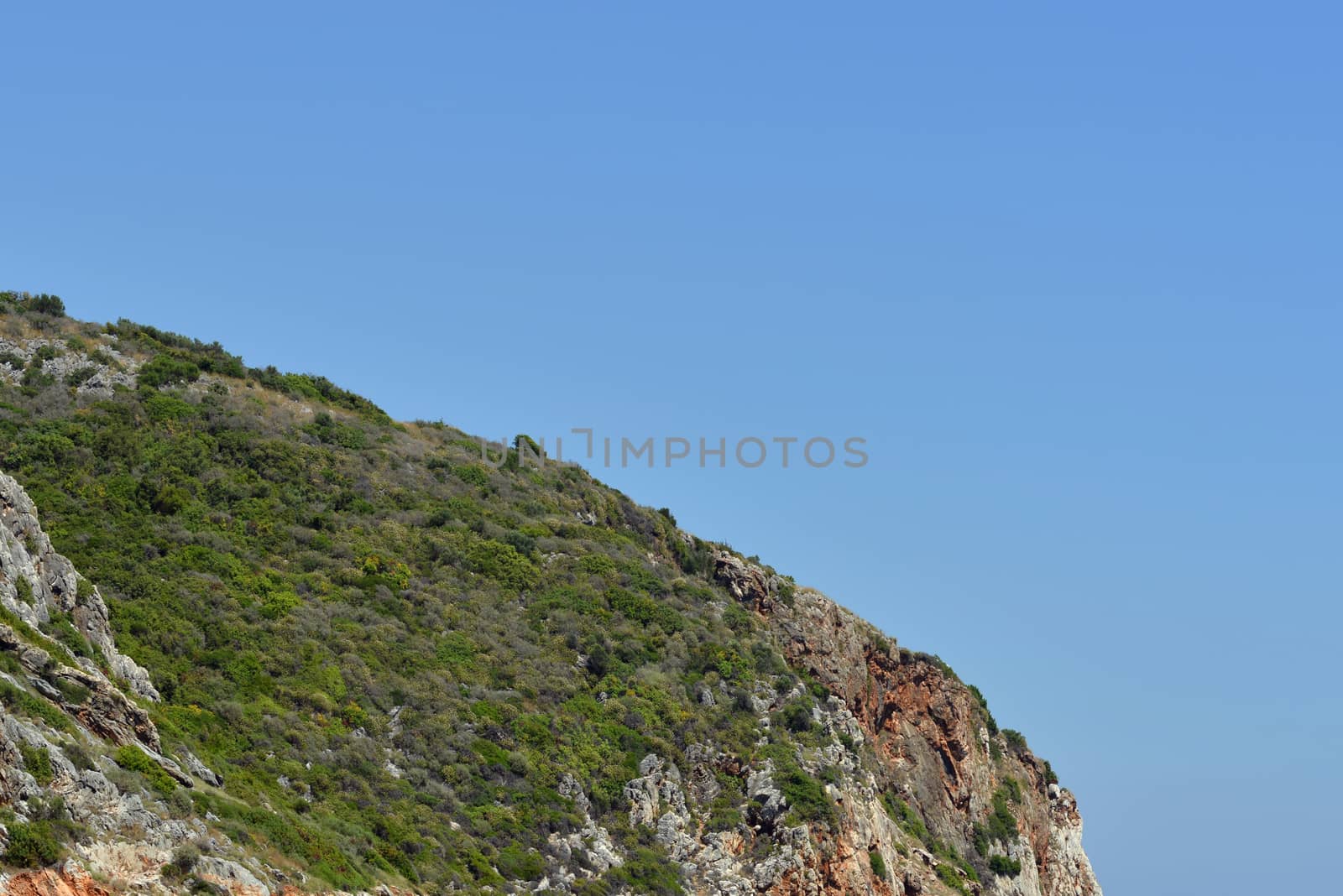 Mountain with trees against the blue sky