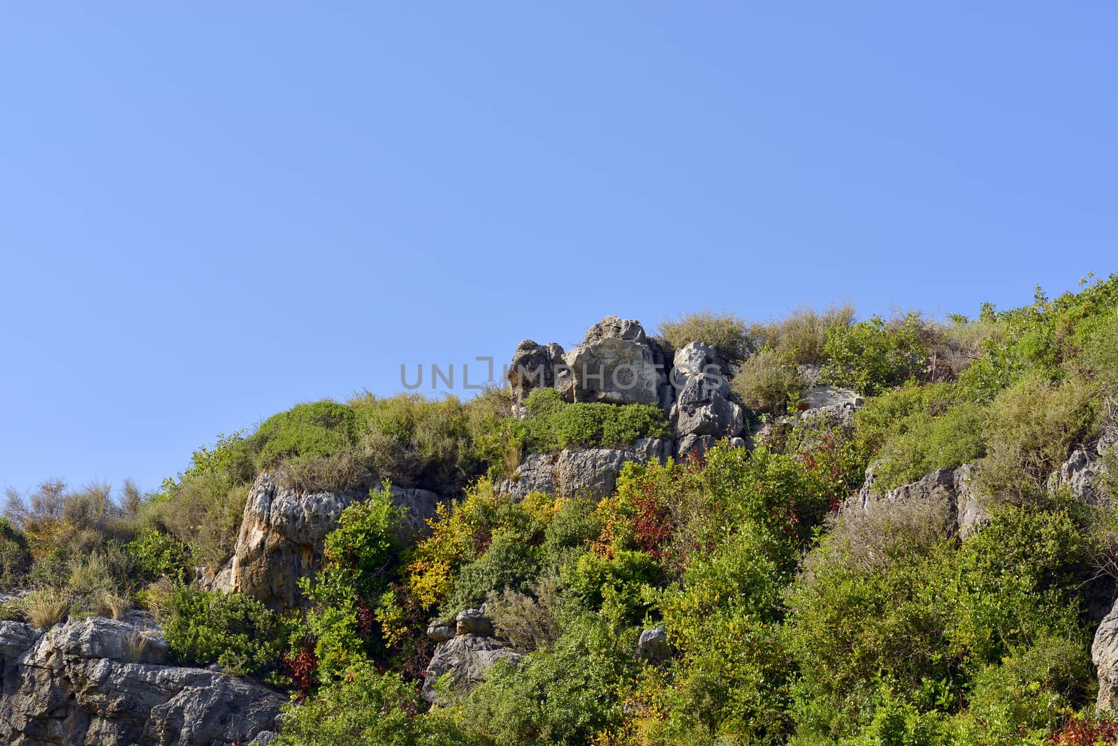 Mountain with trees against the blue sky