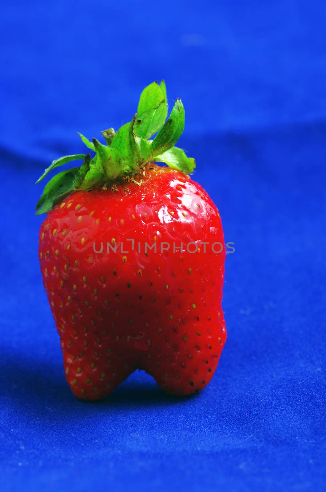 Ripe strawberrie isolate over blue background