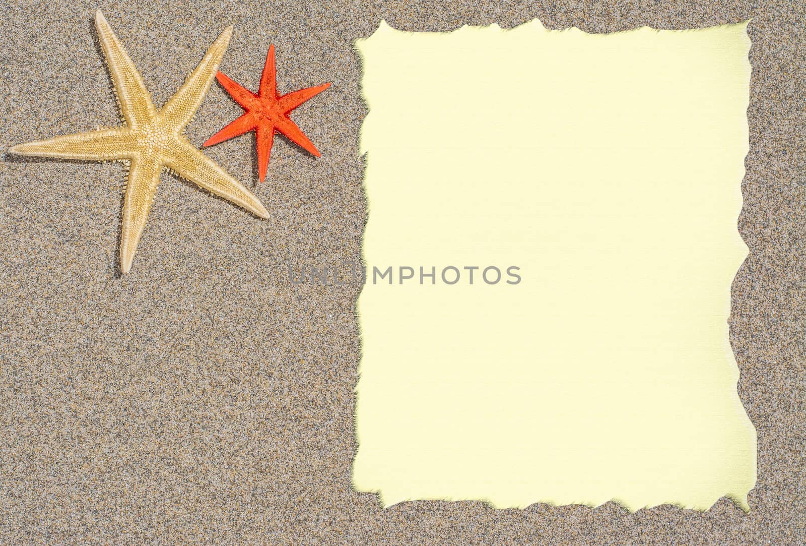 Starfish with blank paper for a list, menu or text by freila