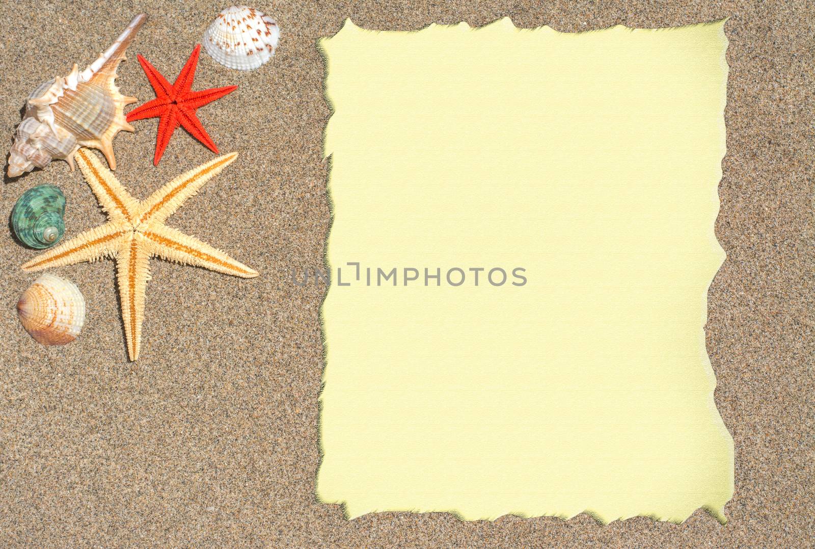  Starfish and shells with blank paper for a list, menu or text by freila