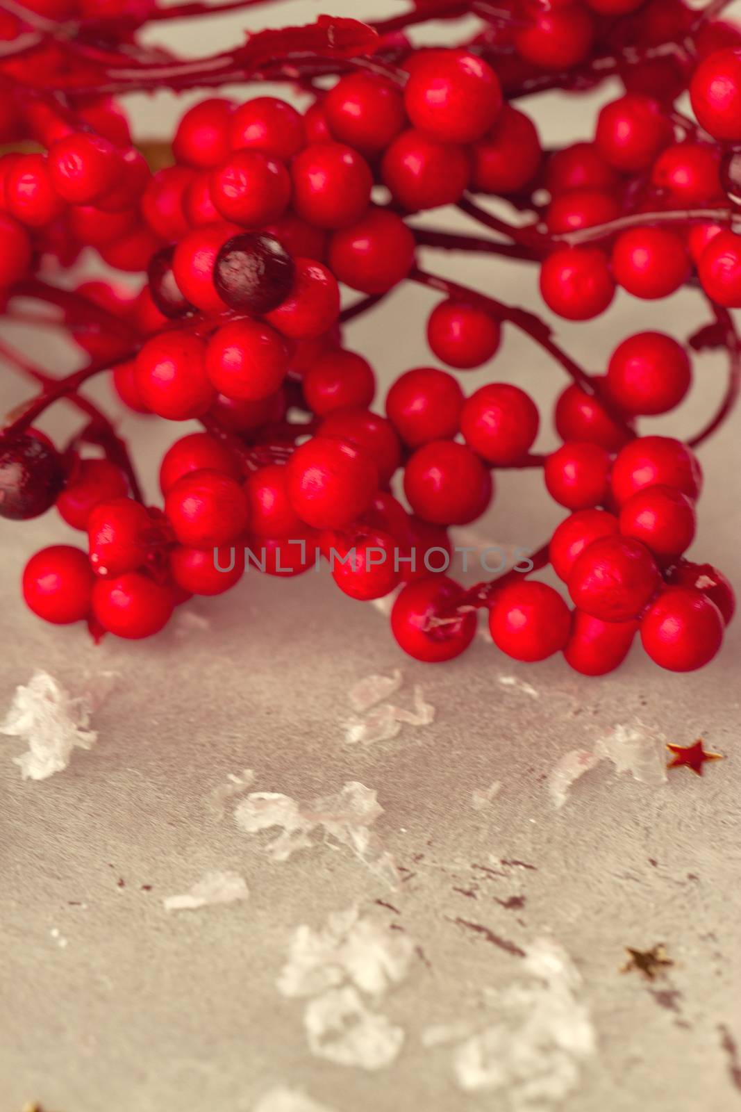 brunches of ash-berry on a white background