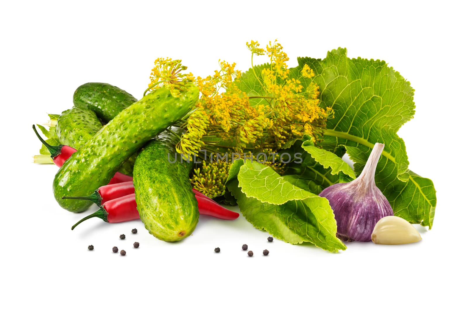 cucumbers, garlic, pepper, horseradish leaves and fragrant blossoms dill marinade on a white background