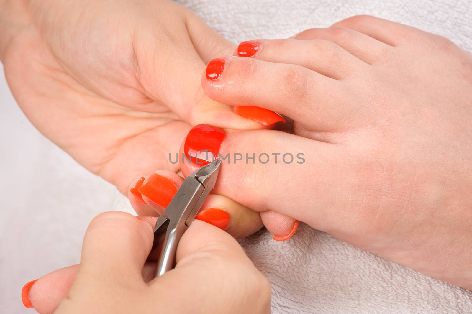 pedicure process macro closeup, cutting of cuticle