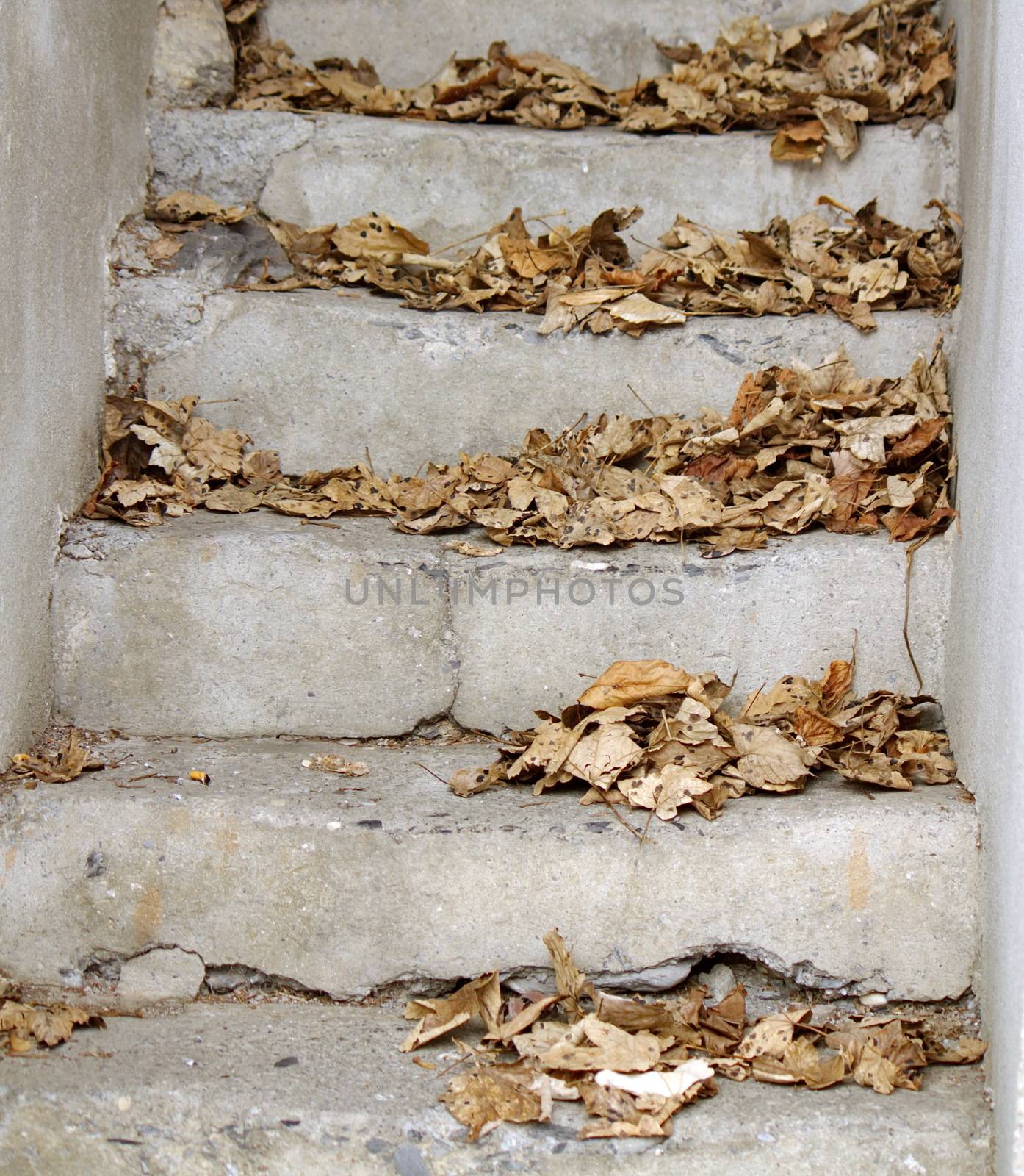 Close up on autumn leaves on stairs