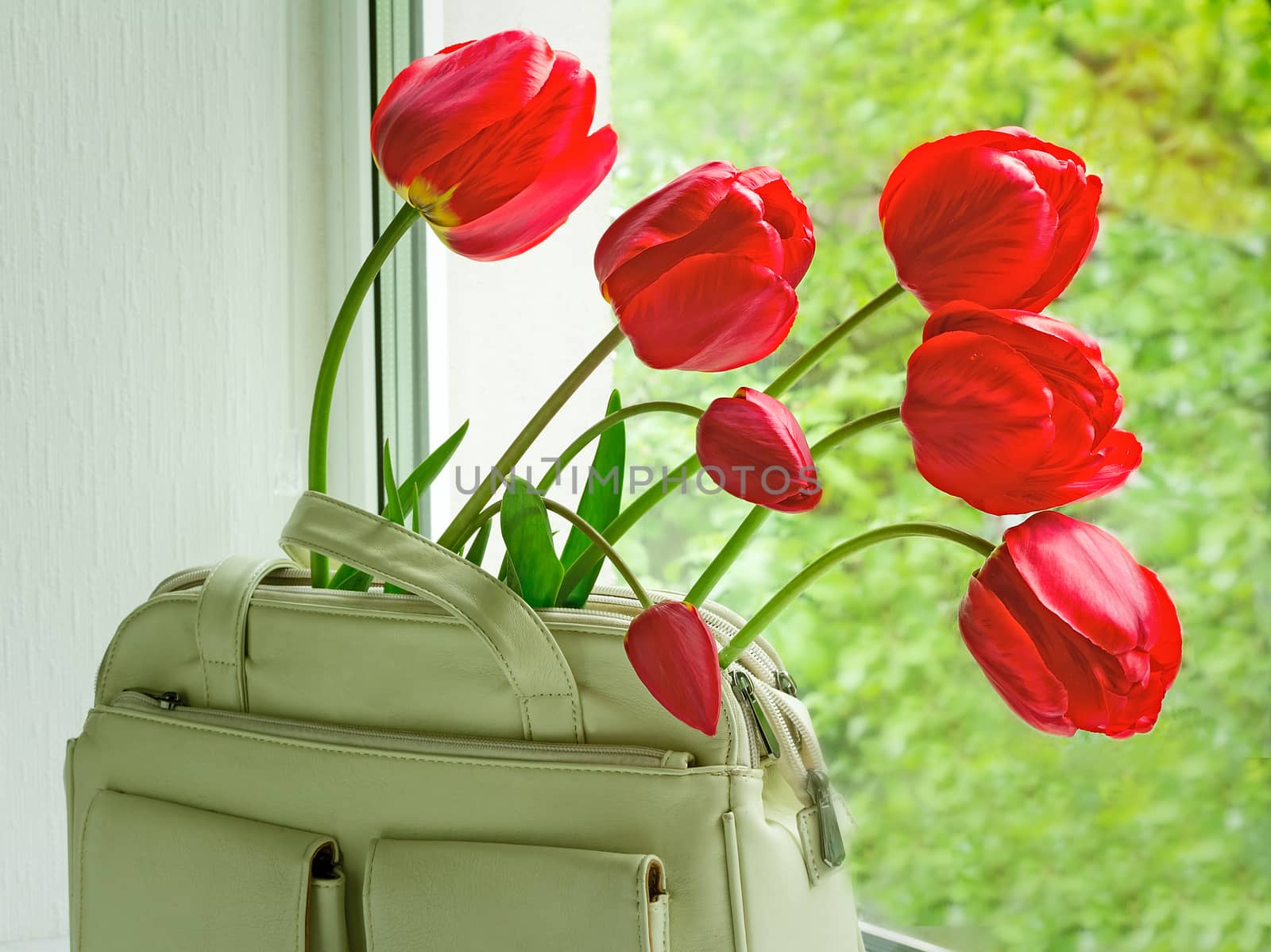 
Bright red flowers of tulips and light leather women bag on a window window sill.